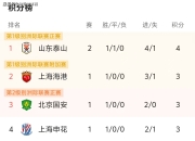 开云足球直播-球队再次取得胜利，积分榜上节节攀升的简单介绍