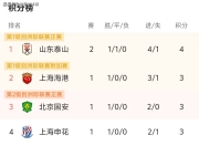 开云足球直播-球队再次取得胜利，积分榜上节节攀升的简单介绍