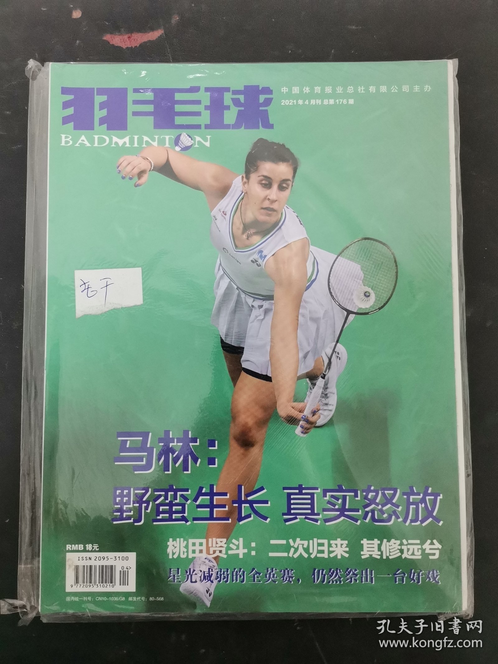 中国羽毛球队爆冷丹麦羽毛球队，马琳统治全场的简单介绍