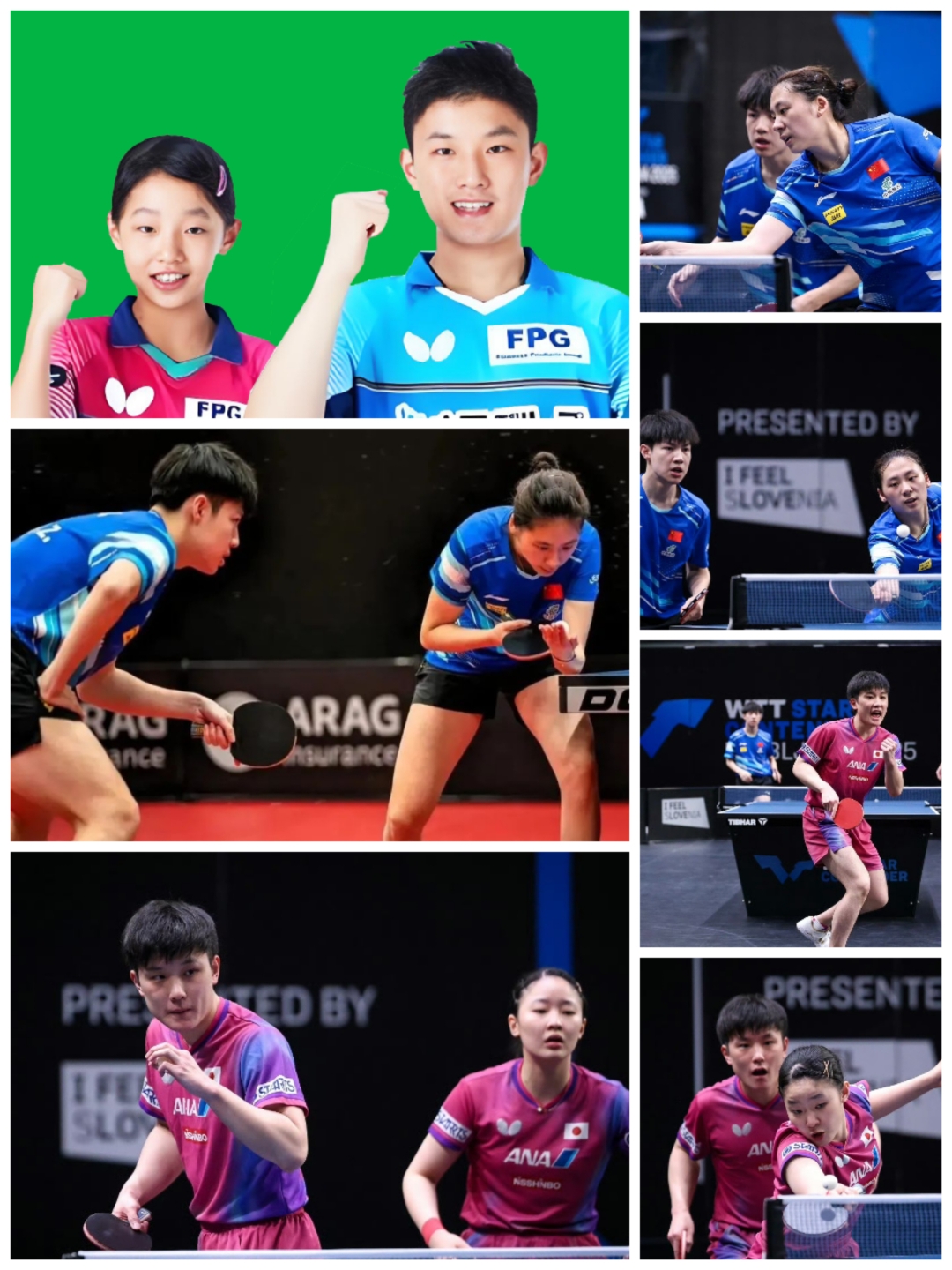 包含中国乒乓球队完胜波兰乒乓球队，张本智和关键制胜的词条