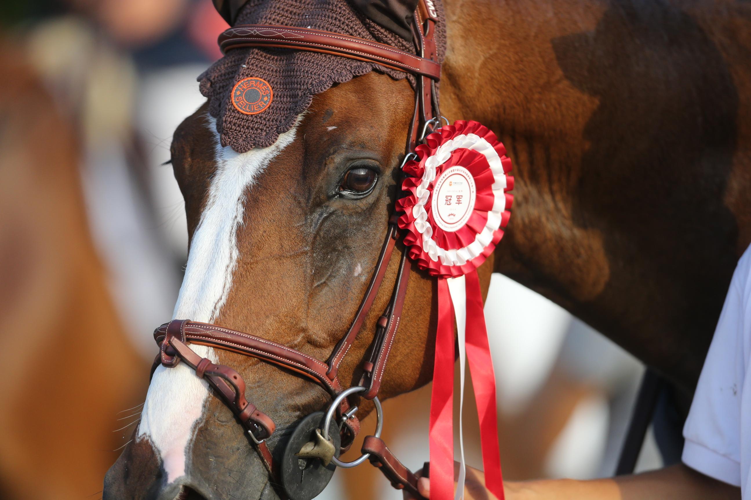 包含澳大利亚运动员崭露头角斩获奖牌的词条