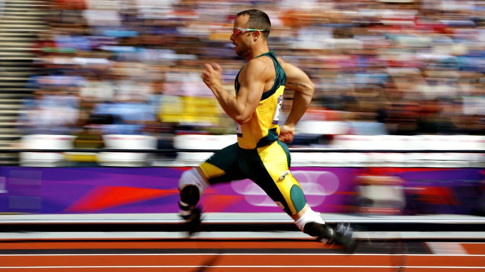 篮网单节风暴拉开广东队，福克斯化身关键先生主宰赛场